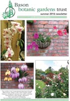 bason news summer2016 web
