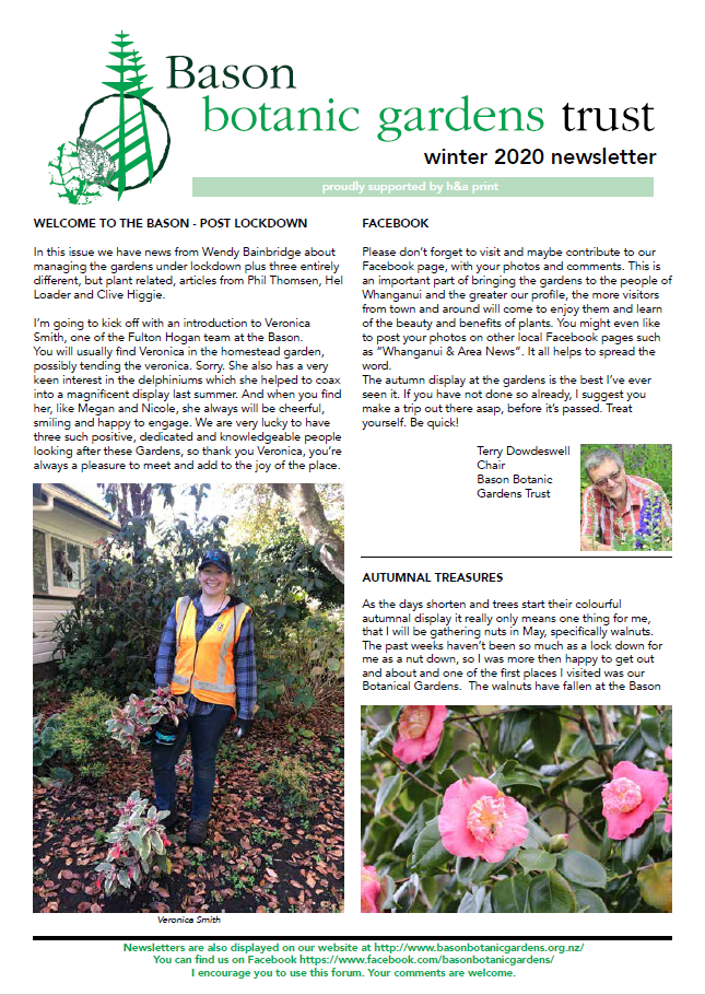 summer2019newsletter